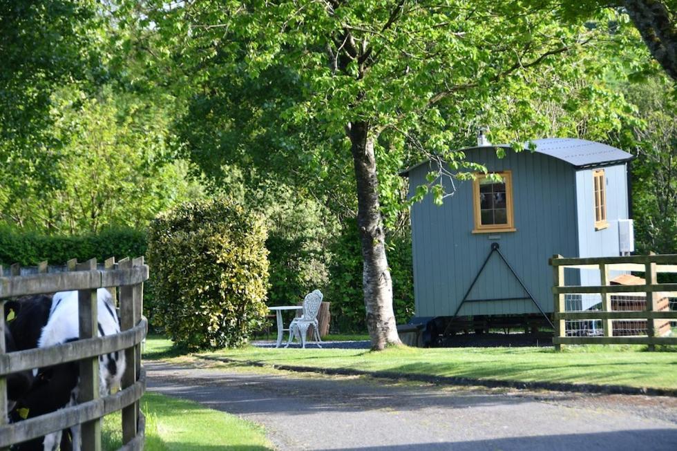 The Shepherds Hut Carmarthen Eksteriør billede